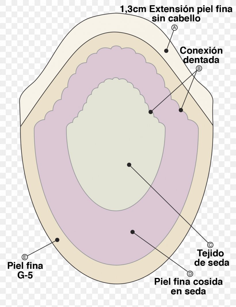 Eye Mouth Jaw, PNG, 1039x1351px, Watercolor, Cartoon, Flower, Frame, Heart Download Free