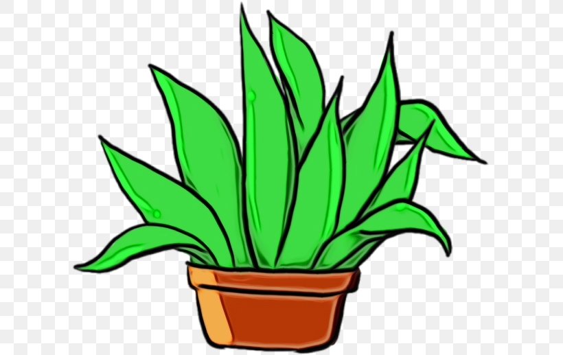 Flowerpot Houseplant Green Leaf Plant, PNG, 609x517px, Watercolor, Flower, Flowerpot, Grass, Green Download Free