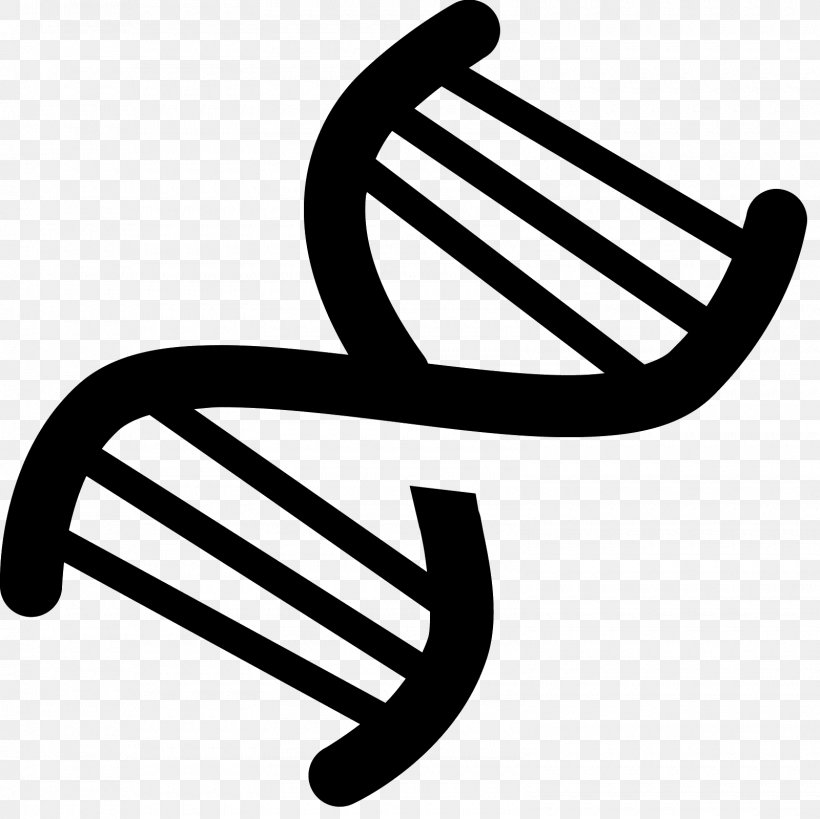 Nucleic Acid Double Helix DNA, PNG, 1600x1600px, Nucleic Acid Double Helix, Black And White, Dna, Genetics, Helix Download Free