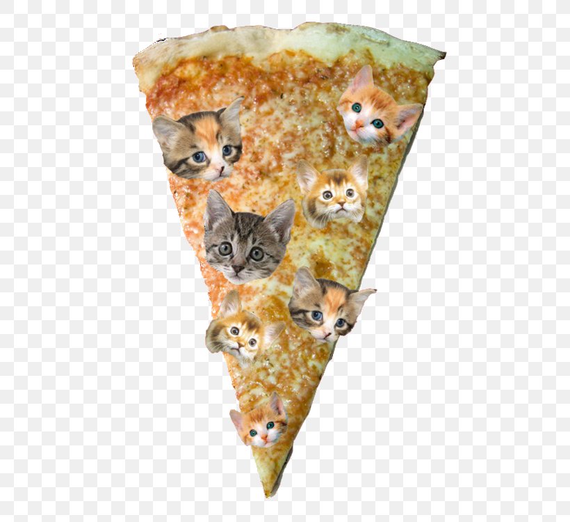 Pizza Hut Cat Kitten, PNG, 496x750px, Pizza, Cat, Fur, Kitten, Pizza Delivery Download Free