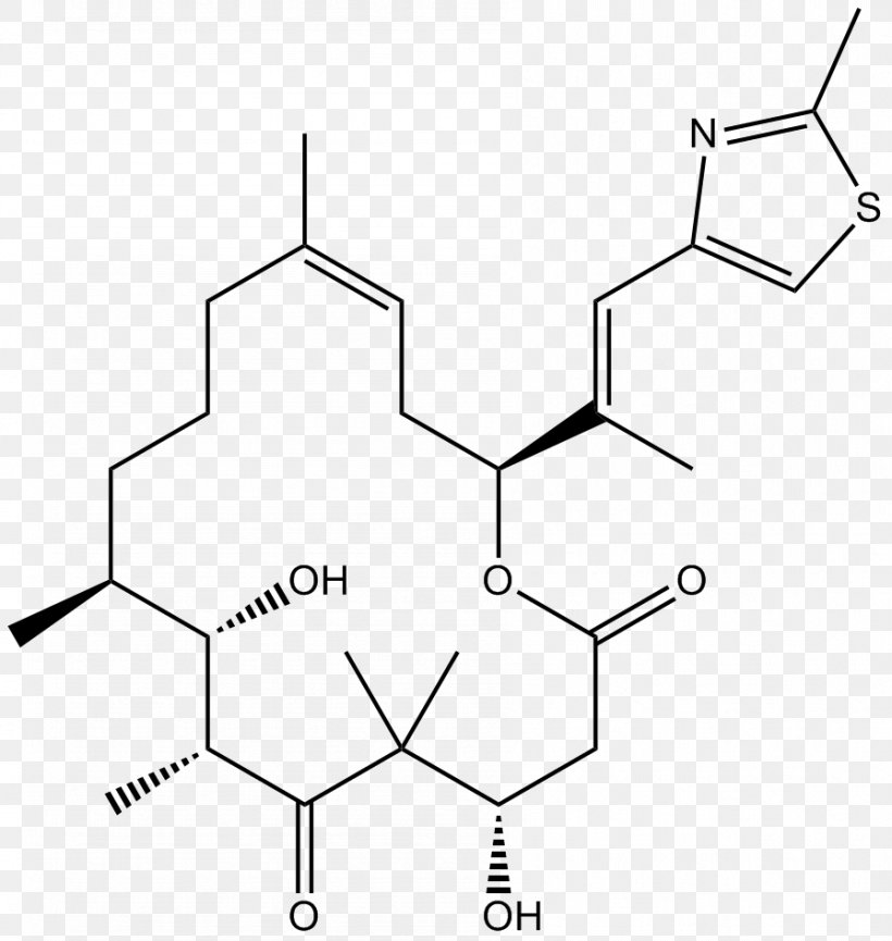 Epothilone Microtubule Tubulin Enzyme Inhibitor Pharmaceutical Drug, PNG, 896x946px, Microtubule, Antibiotics, Area, Black And White, Cell Download Free