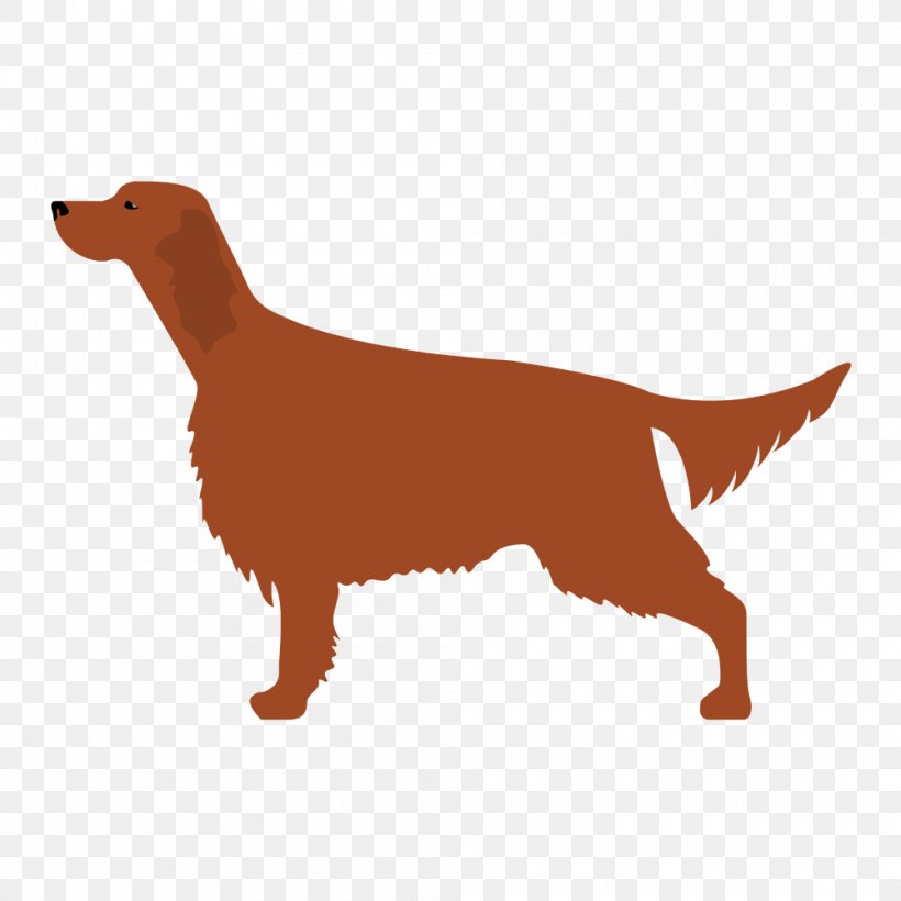 Kerry Blue Terrier Bedlington Terrier Irish Terrier Puppy, PNG, 1000x1000px, Kerry Blue Terrier, Bedlington Terrier, Carnivoran, Companion Dog, Dog Download Free