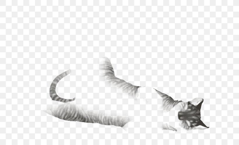 Whiskers Kitten Fur Drawing /m/02csf, PNG, 640x500px, Whiskers, Black And White, Carnivoran, Cat, Cat Like Mammal Download Free