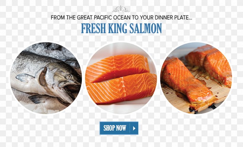 Seafood Fish Products Animal Source Foods Salmon, PNG, 909x550px, Seafood, Animal Source Foods, Com, Fish, Fish Products Download Free