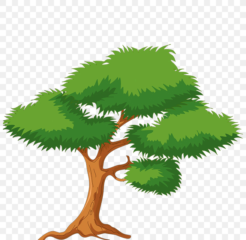Arbor Day, PNG, 800x800px, Tree, American Larch, Arbor Day, Bonsai, Branch Download Free