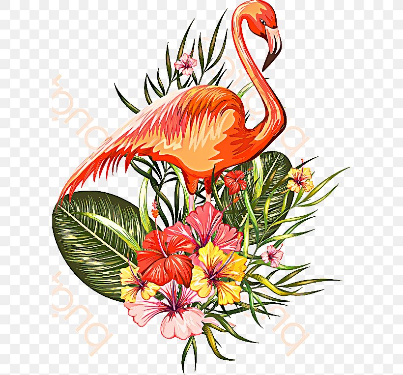 Flowers Background, PNG, 607x763px, Floral Design, Anthurium, Beak, Bird, Botany Download Free