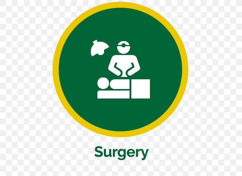 General Surgery Surgeon Medicine Specialty, PNG, 536x595px, General Surgery, Area, Brand, Clinic, Disease Download Free