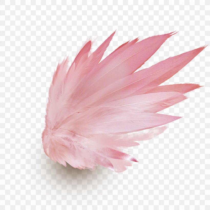 Drawing, PNG, 2362x2362px, Wing, Angel Wing, Drawing, Feather, Flower Download Free