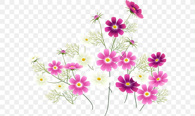 Flower Floral Design Garden Cosmos Motif Spring, PNG, 600x488px, Flower, Annual Plant, Cosmos, Daisy Family, Decorative Arts Download Free