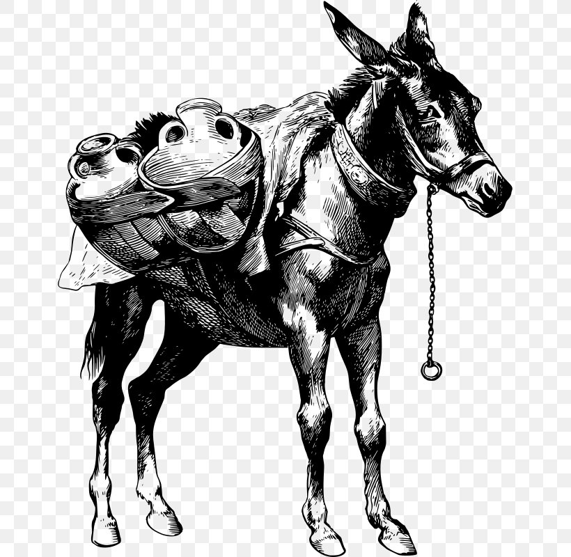 Mule Donkey Horse Stallion Clip Art, PNG, 653x800px, Mule, Art, Black And White, Bridle, Donkey Download Free