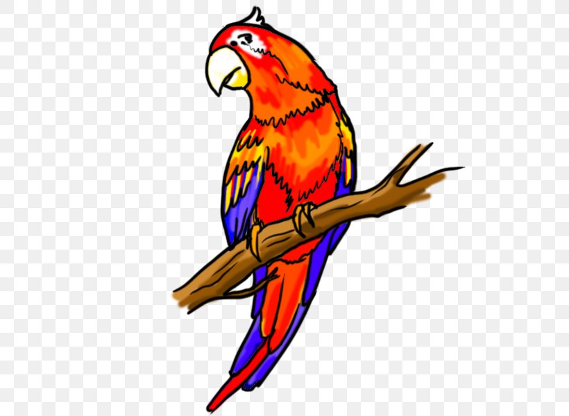 Parrot Fly Bird Drawing Macaw, PNG, 600x600px, Parrot, Art, Artwork, Beak,  Bird Download Free