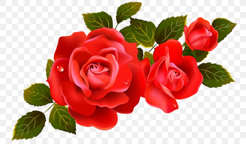 Rose Flower Clip Art, PNG, 800x480px, Rose, Begonia, Bud, Cut Flowers, Decoupage Download Free