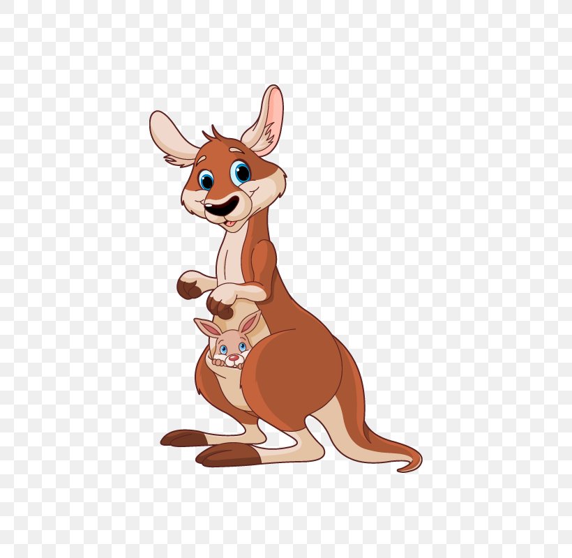 Royalty-free Kangaroo Clip Art, PNG, 800x800px, Royaltyfree, Animal Figure, Animation, Can Stock Photo, Carnivoran Download Free