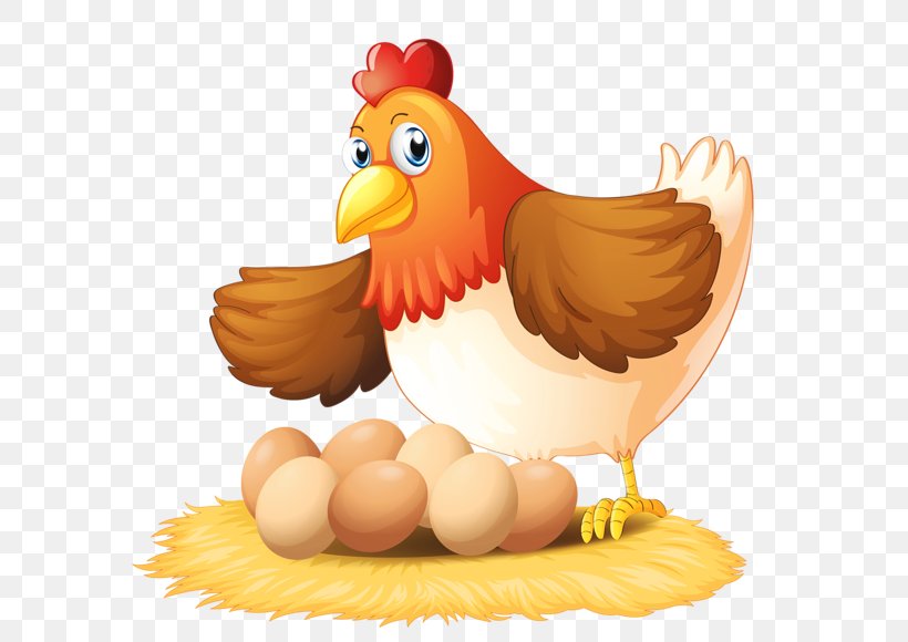 Chicken Egg Hen Clip Art, PNG, 600x580px, Chicken, Beak, Bird, Egg, Galliformes Download Free