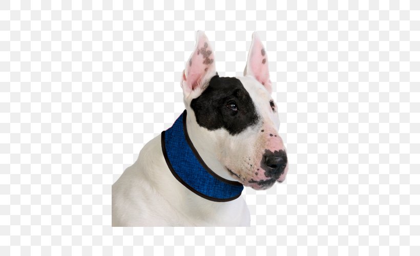 Dobermann Dog Collar Leash Pet, PNG, 500x500px, Dobermann, Blue, Bull And Terrier, Bull Terrier, Bull Terrier Miniature Download Free