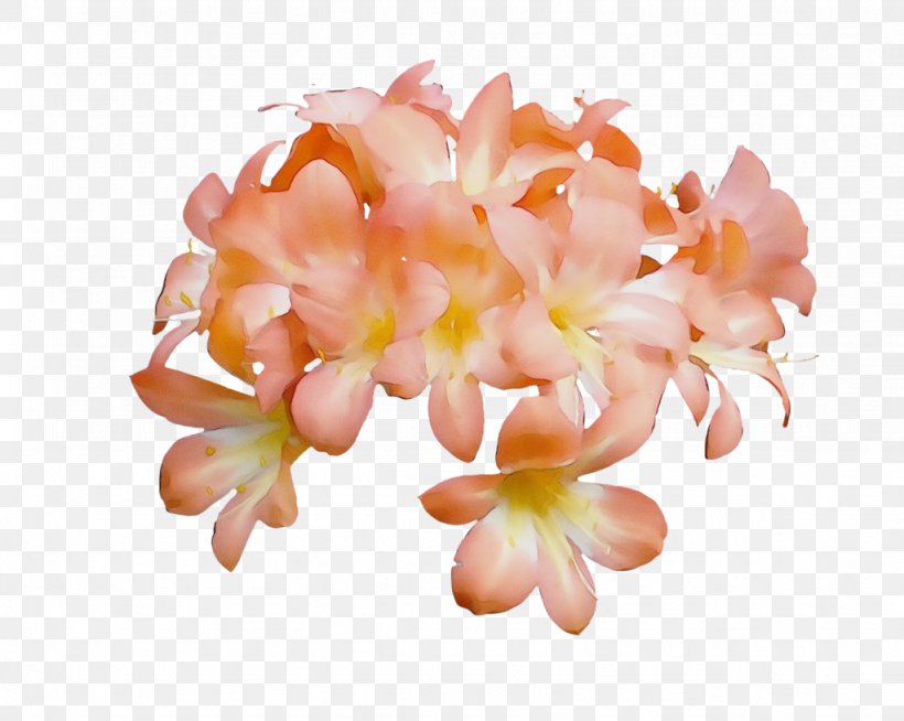 Orange, PNG, 1024x817px, Watercolor, Flower, Flowering Plant, Frangipani, Natal Lily Download Free