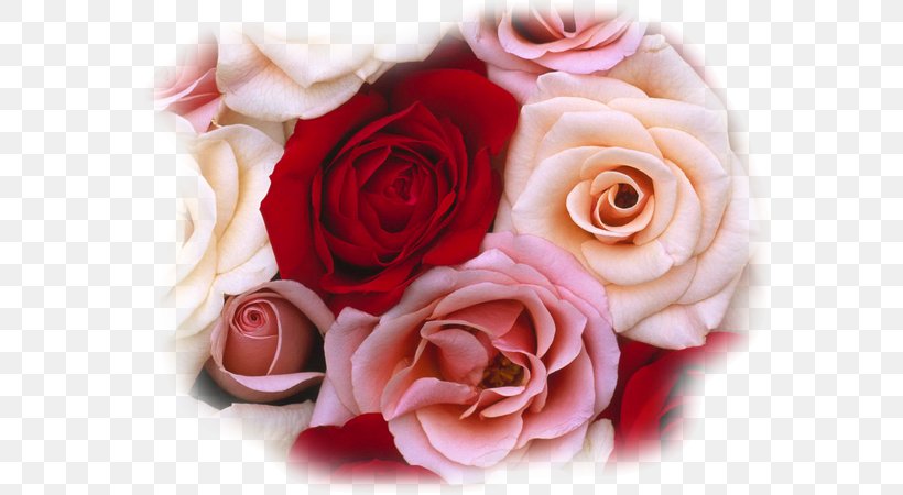 Rose Flower Bouquet Red White, PNG, 600x450px, Rose, Artificial Flower, Blue, Color, Cut Flowers Download Free