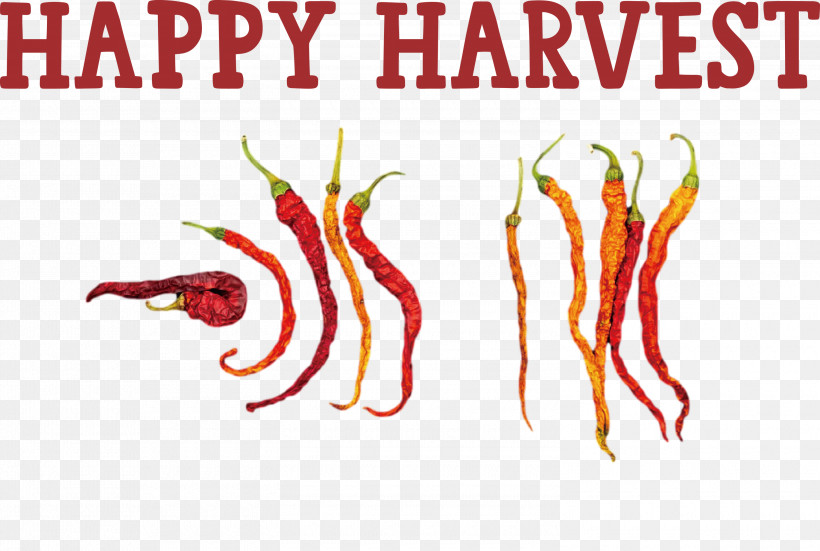 Happy Harvest Harvest Time, PNG, 3000x2016px, Happy Harvest, Birds Eye Chili, Cayenne Pepper, Chili Pepper, Harvest Time Download Free