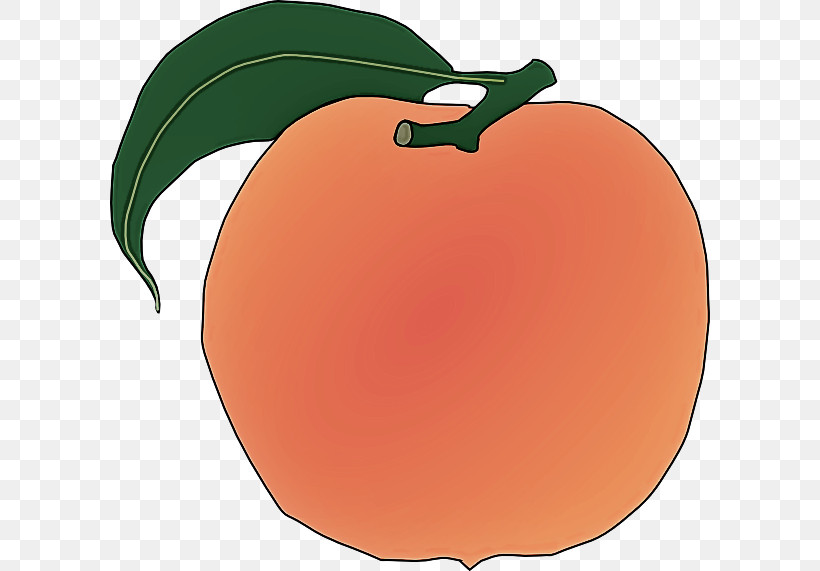 Orange, PNG, 600x571px, Apple, Food, Fruit, Leaf, Orange Download Free