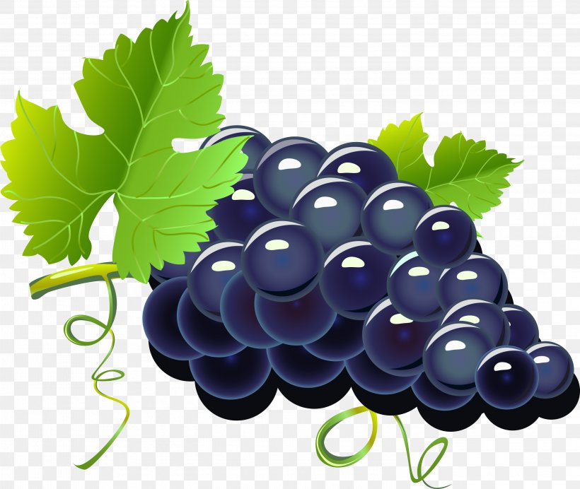 Red Wine Grape Cartoon, PNG, 3001x2534px, Red Wine, Berry, Bilberry, Blackberry, Cartoon Download Free