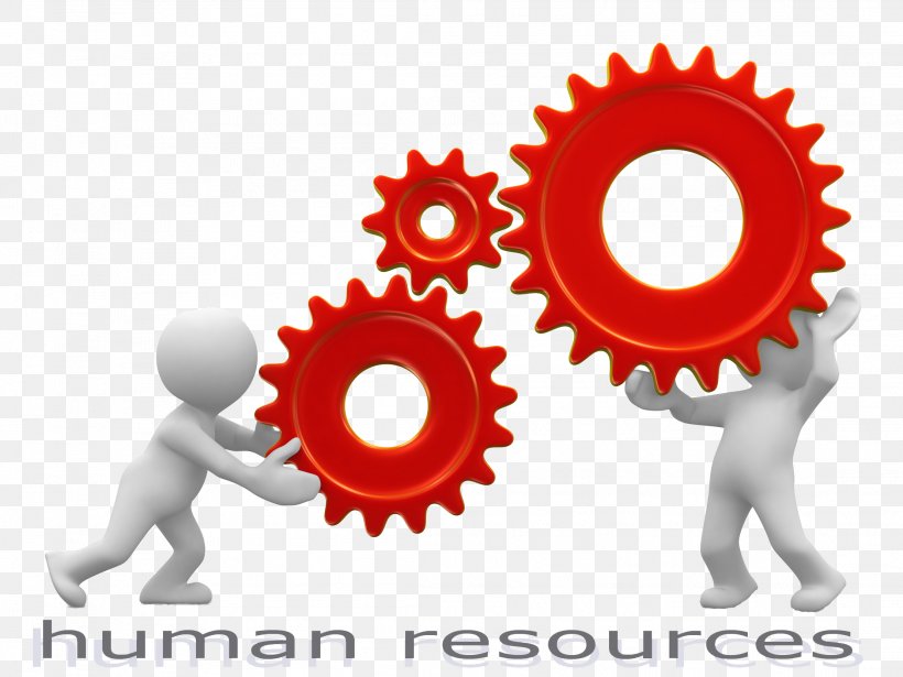 Human Resource Management Human Resource Management Clip Art, PNG ...