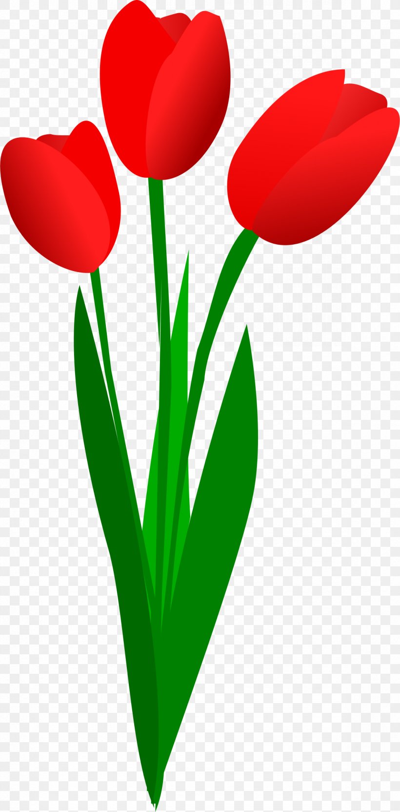 Tulip Flower Bouquet Clip Art, PNG, 1183x2400px, Tulip, Artwork, Blog, Cut Flowers, Flower Download Free