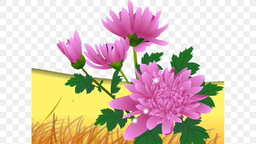 Chrysanthemum Cosmos Bipinnatus Euclidean Vector, PNG, 617x463px, Chrysanthemum, Annual Plant, Chrysanths, Cosmos Bipinnatus, Cut Flowers Download Free