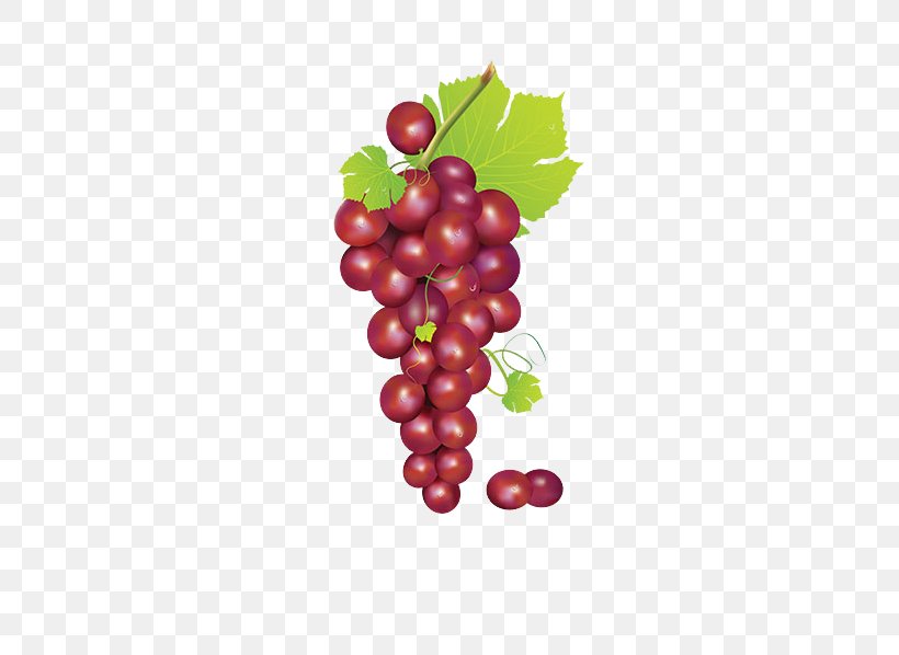 Grape Fruit Clip Art, PNG, 572x598px, Grape, Berry, Cranberry, Flowering Plant, Food Download Free