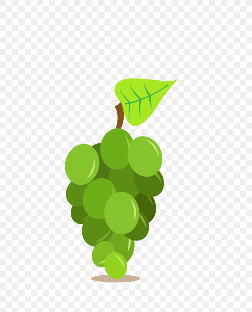 Vinho Verde Red Wine Vin Gris Oak, PNG, 2263x2796px, Vinho Verde, Barile, Barrel, Bottle, Flowering Plant Download Free