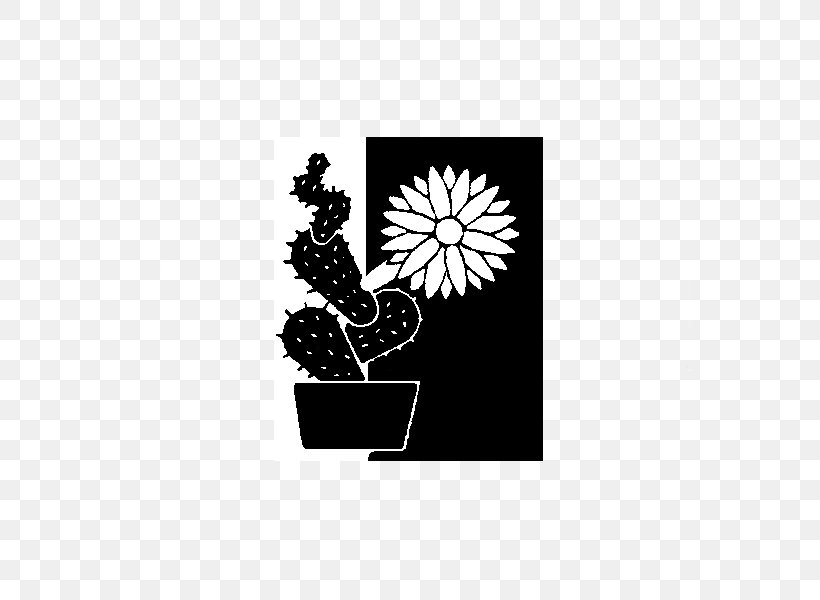 Black & White, PNG, 600x600px, Black White M, Black M, Blackandwhite, Cactus, Chrysanths Download Free