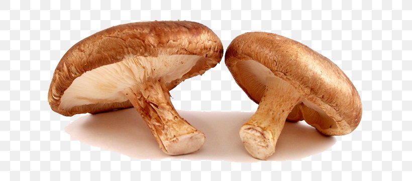 Shiitake Organic Food Common Mushroom Edible Mushroom, PNG, 730x360px, Shiitake, Agaricaceae, Common Mushroom, Cooking, Diet Download Free