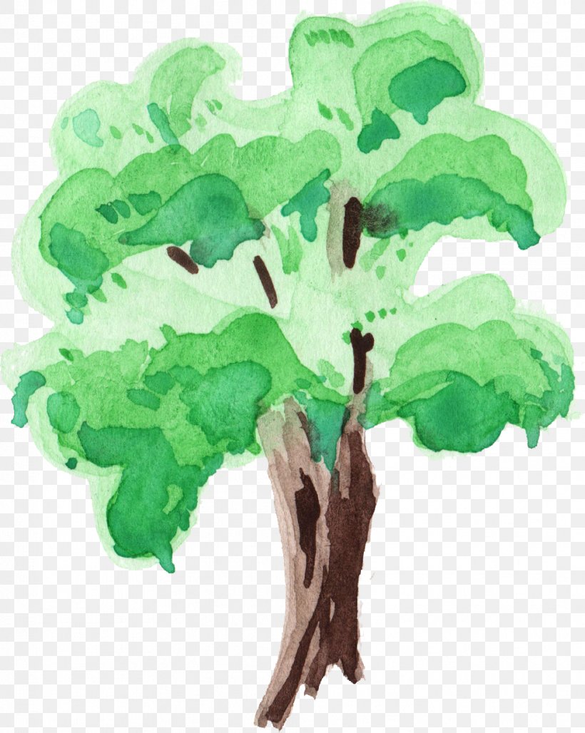 Tree Watercolor Painting Branch, PNG, 989x1240px, Tree, Art, Branch, Color, Leaf Download Free
