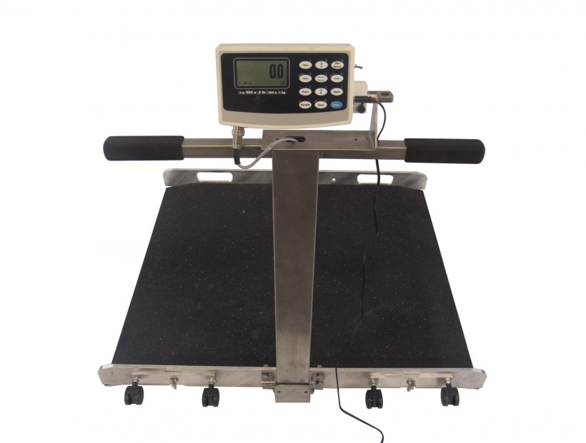 Wheelchair Measuring Scales Disability Accuracy And Precision Patient, PNG, 3300x2500px, Wheelchair, Accuracy And Precision, Caster, Chronic Condition, Disability Download Free