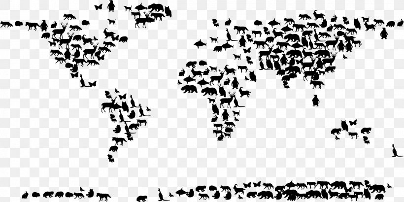 World Map Globe Treasure Map, PNG, 2328x1164px, World, Atlas, Black, Black And White, Branch Download Free