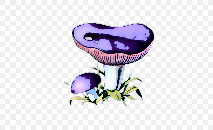 Clip Art Illustration Purple Flower, PNG, 500x500px, Purple, Edible Mushroom, Flower, Mushroom, Plant Download Free