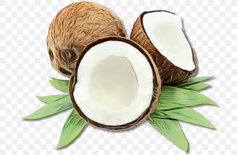 Coconut, PNG, 707x537px, Watercolor, Coconut, Leaf, Paint, Plant Download Free