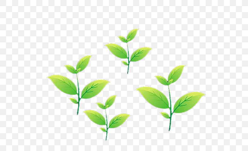 tea leaf animation png 600x499px tea animation branch camellia sinensis cartoon download free tea leaf animation png 600x499px tea