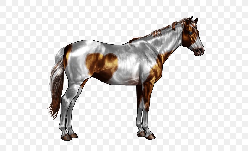 American Paint Horse American Quarter Horse Spotted Saddle Horse Horse Markings Roan, PNG, 600x500px, American Paint Horse, American Paint Horse Association, American Quarter Horse, Bay, Black Download Free