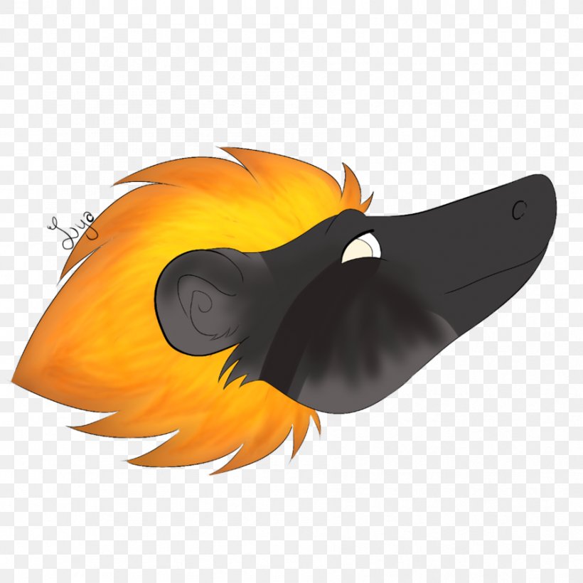 Light Fire Beak Smoothie Chicken, PNG, 894x894px, Light, Beak, Bird, Chicken, Eye Download Free