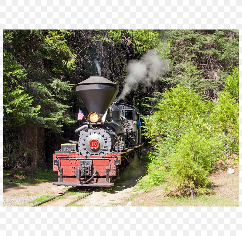 Train Locomotive Cumbres And Toltec Scenic Railroad Santa Fe 3751 Tree, PNG, 800x800px, Train, Cumbres And Toltec Scenic Railroad, Forest, Locomotive, Narrow Gauge Download Free