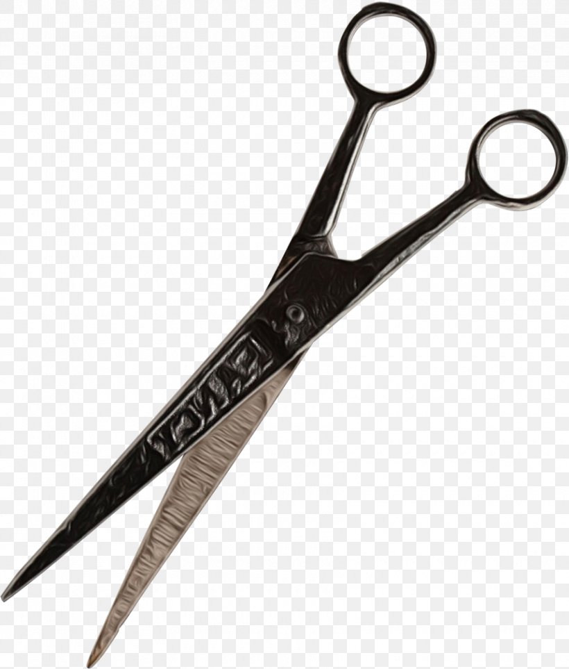 Hair Cartoon, PNG, 860x1010px, Scissors, Cutting Tool, Hair, Hair Care, Hair Shear Download Free