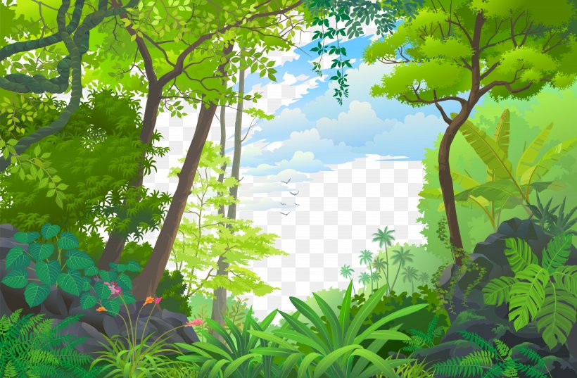 Landscape Jungle Euclidean Vector Tropical Rainforest, PNG, 4959x3250px, Landscape, Biome, Branch, Cartoon, Drawing Download Free