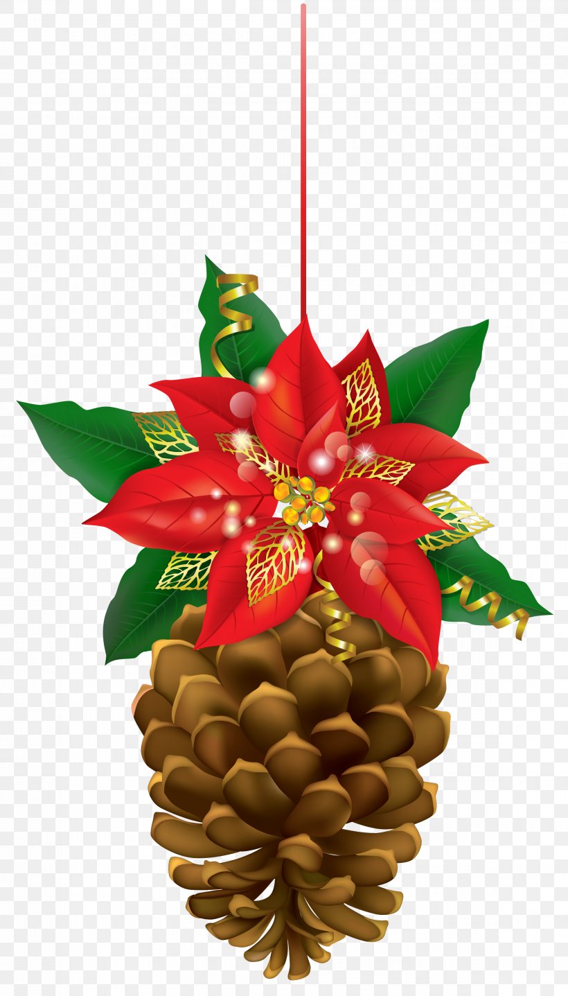 Poinsettia Conifer Cone Christmas Clip Art, PNG, 2319x4064px, Poinsettia, Christmas, Christmas Decoration, Christmas Ornament, Conifer Download Free
