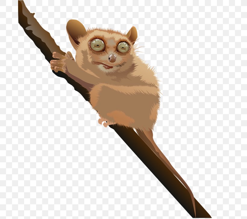 Giraffe Lion Tarsier Clip Art, PNG, 700x729px, Giraffe, Carnivoran, Cartoon, Cat, Cat Like Mammal Download Free