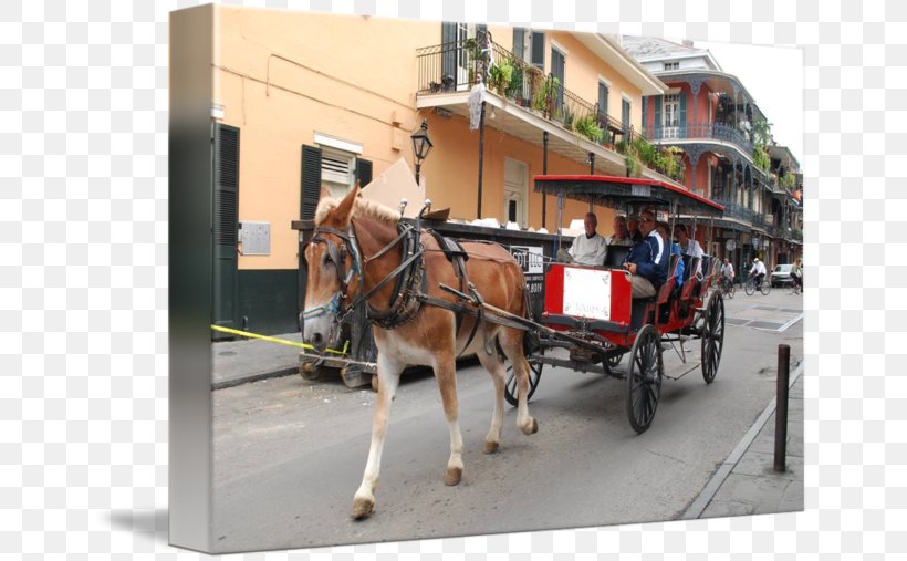 Horse And Buggy Horse Harnesses Coachman Wagon, PNG, 650x507px, Horse, Carriage, Cart, Chariot, Coachman Download Free
