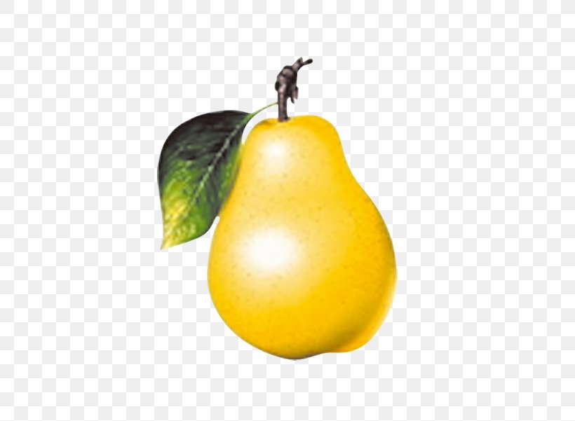 Juice Fruit Vegetable Pear, PNG, 600x601px, Juice, Apple, Banana, Citron, Citrus Download Free