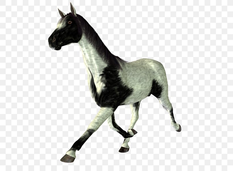 Stallion Mustang Halter Rein Pack Animal, PNG, 800x600px, Stallion, Animal, Animal Figure, Blog, Bridle Download Free
