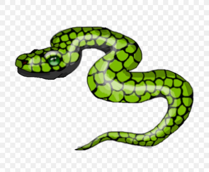 Vipers Kingsnakes White Snake Drawing, PNG, 894x736px, Vipers, Animal, Animal Figure, Art, Digital Art Download Free