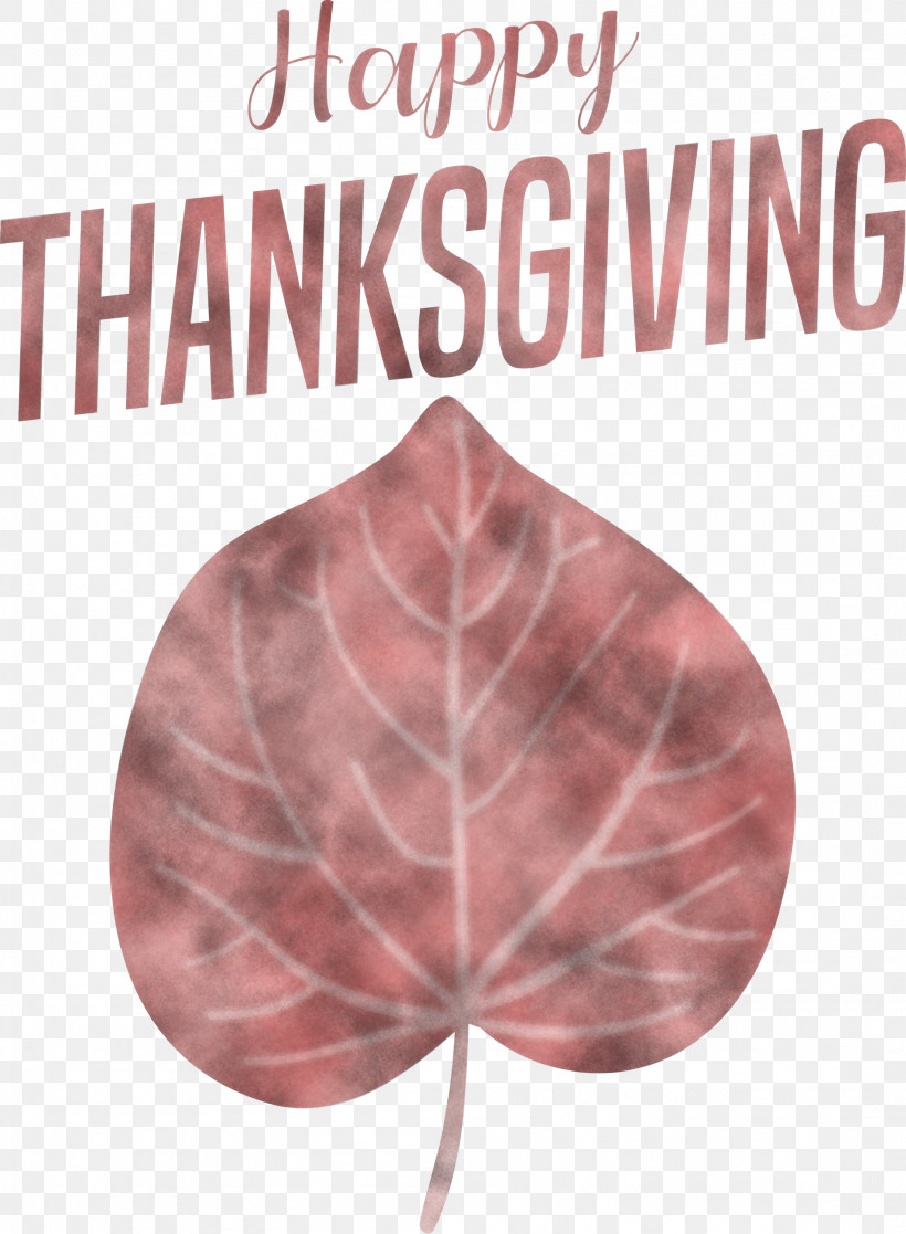 Happy Thanksgiving, PNG, 2201x3000px, Happy Thanksgiving, Biology, Leaf, Meter, Petal Download Free