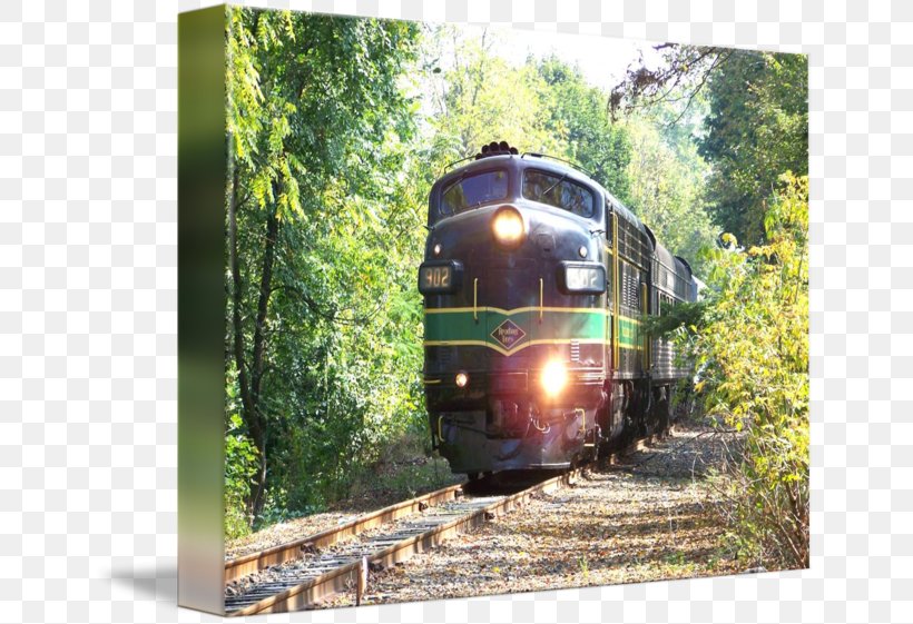 Rail Transport Train Railroad Car Track Locomotive, PNG, 650x561px, Rail Transport, Locomotive, Plant, Railroad Car, Reading Download Free